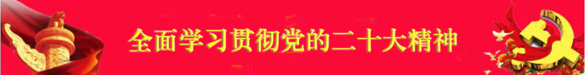 专题名称:党的二十大精神